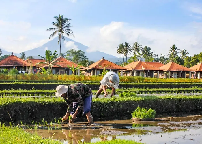 Sri Lestari Banyuatis *